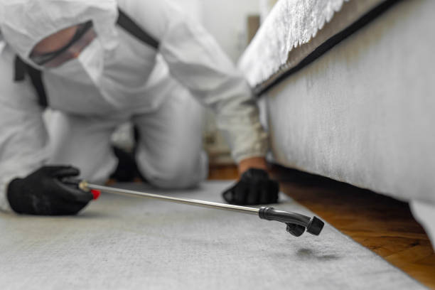 Professional Bed Bug Control technician working in Woodworth, OH