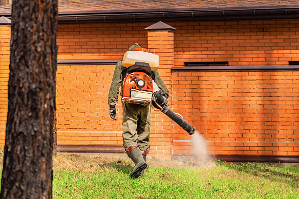 Trusted Cockroach Control service in Woodworth, OH - Nex Pest Control